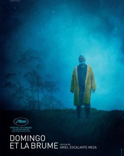Domingo et la brume - Ariel Escalante Meza - critique