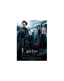 Box-office France 2005