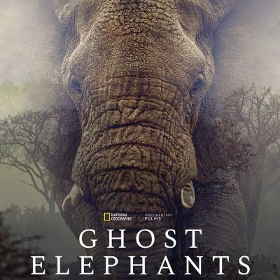 Ghost Elephants - Werner Herzog - critique