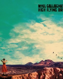 Noel Gallagher ne décroche pas la lune