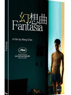 Fantasia - le test DVD