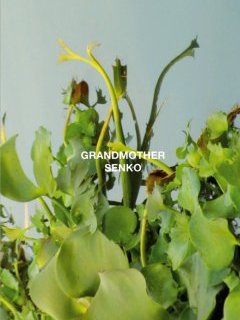 Grandmother / Senko - La critique + Le test DVD