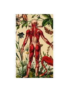 La piel que Habito - les premières images du nouveau Almodovar !