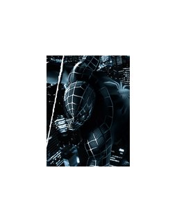 Audiences télé : Spider-man 3 tout puissant