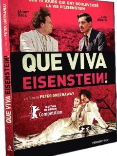 Que viva Eisenstein ! - le test DVD