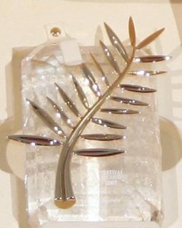 Festival de Cannes 2015 : le palmarès complet