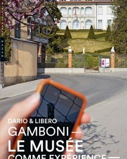  Le musée comme expérience - Dario Gamboni - critique