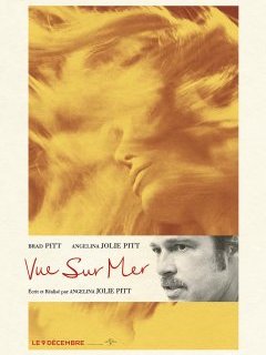 Vue sur Mer : le couple Brad Pitt / Angelina Jolie prend l'eau - la critique du film