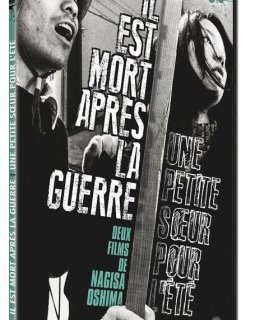 Il est mort après la guerre - la critique du film