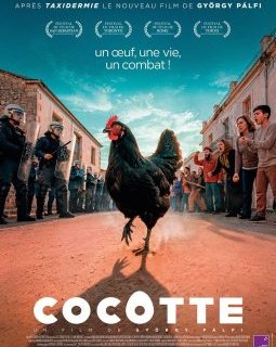Cocotte - György Pálfi - critique