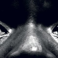 spip-bandeau spip-bandeau