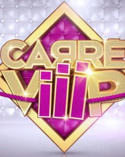 Carré Viiip, flop pour tout le monde sauf pour TF1