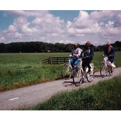 Madame l'eau - Damouré, Tallou et Lam