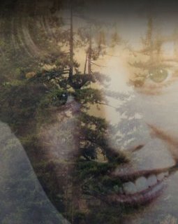 Twin Peaks de David Lynch : it's Showtime avec le premier teaser !