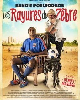 Les rayures du zèbre - Benoît Mariage - critique