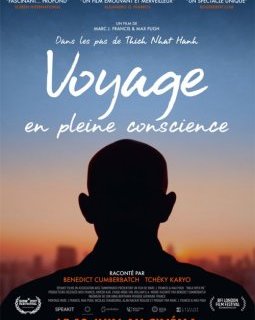 Voyage en pleine conscience - la critique du film