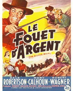 Le fouet d'argent - la critique du film + le test DVD