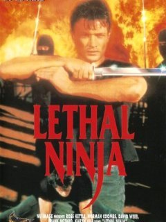 Lethal Ninja - la critique du film