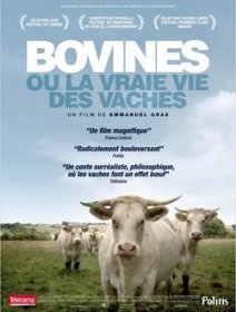 Bovines ou la vraie vie des vaches - critique + test DVD