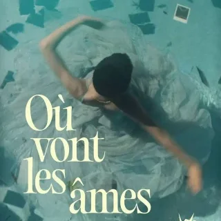 Où vont les âmes ? - Brigitte Poupart - critique