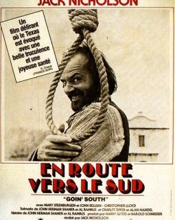 En route vers le sud - la critique