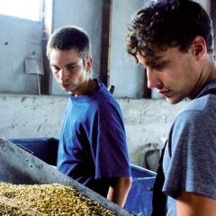 Lukas Steltner et Kai Michael Müller - Stadt Land Fluss (la clé des champs) - Benjamin Cantu