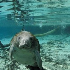 © Wild Bunch Distribution