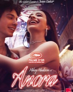 Semaine du 30 octobre 2024 : les sorties en salle