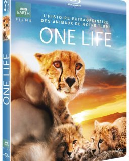 One Life - la dernière production de BBC Earth en vidéo - la critique + test blu-ray