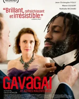 Gavagai, et autres malentendus - Ulrich Köhler - critique
