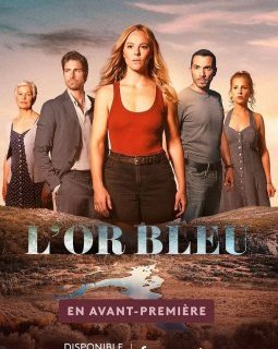 L'or bleu - Marie-Anne Le Pezennec - critique
