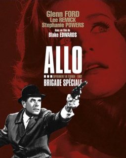 Allo ... Brigade spéciale - la critique + le test DVD