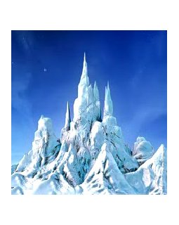 Il était une forêt - début de tournage pour Luc Jacquet