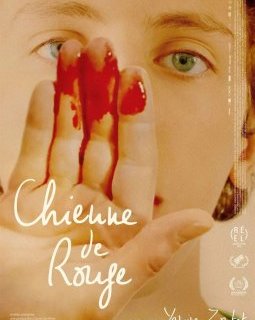 Semaine du 14 février 2024 : les sorties en salle