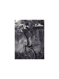 Figaro e la sua gran giornata - la critique