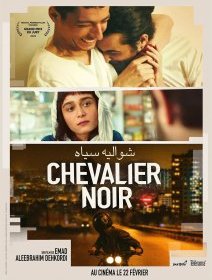 Chevalier noir - Emad Aleebrahim Dehkordi - critique
