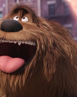 Box-office USA : Comme des Bêtes est un triomphe