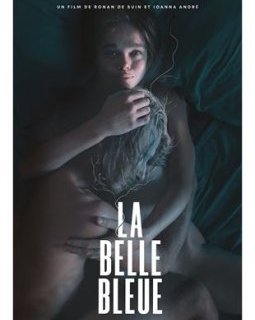 La Belle bleue - Ronan de Suin - critique