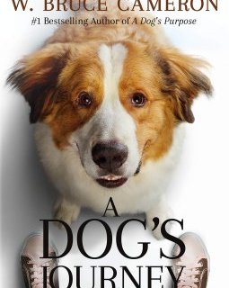 A Dog's Journey de Gail Mancuso - Fiche film
