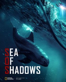 Sea of shadows - la critique du documentaire