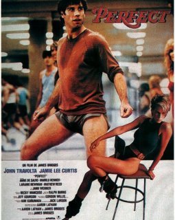 Perfect - la critique