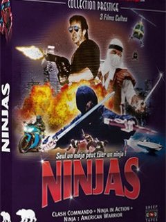 Coffret Ninjas chez Artus et Nanarland