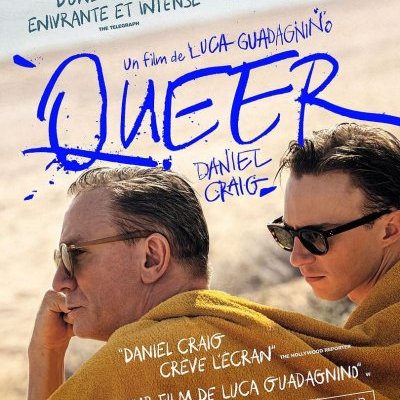 Queer - Luca Guadagnino - critique