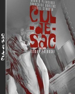 Cul-de-sac - Roman Polanski - critique & test DVD