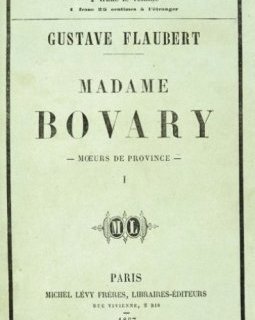 Madame Bovary - la critique du livre