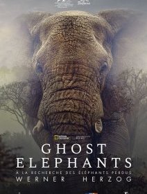 Ghost Elephants - Werner Herzog - critique
