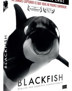 Blackfish - la critique et le test DVD