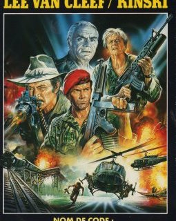 Nom de code : oies sauvages - la critique du DVD