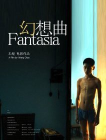 Fantasia - la critique du film