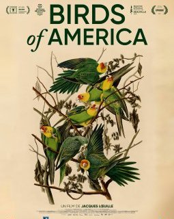 Birds of America - Jacques Lœuille - critique 